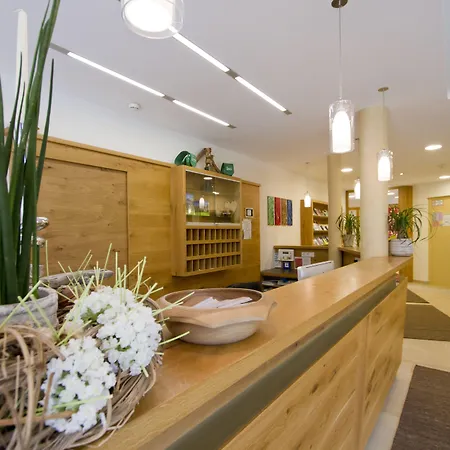 Haus Zirngast מלון שלאדמינג